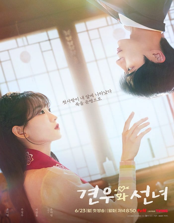 Head Over Heels (2025) หนุ่มดวงจู๋กับหมอดูคนจ๋วย